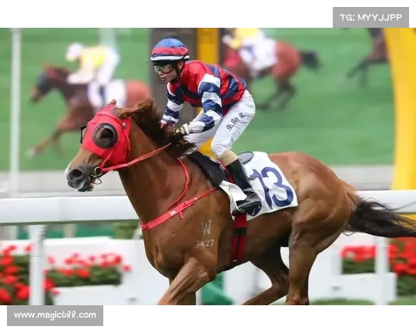 2018搏击巅峰之年全球顶尖赛事激战连场英雄崛起热血沸腾精彩瞬间永恒铭记 2018搏击巅峰之年全球顶尖赛事激战连场英雄崛起热血沸腾精彩瞬间永恒铭记