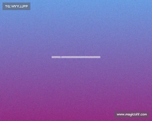 永昌队赛事安排,石家庄永昌队二零二四赛季赛事安排全景解析赛程重点比赛与球队动态